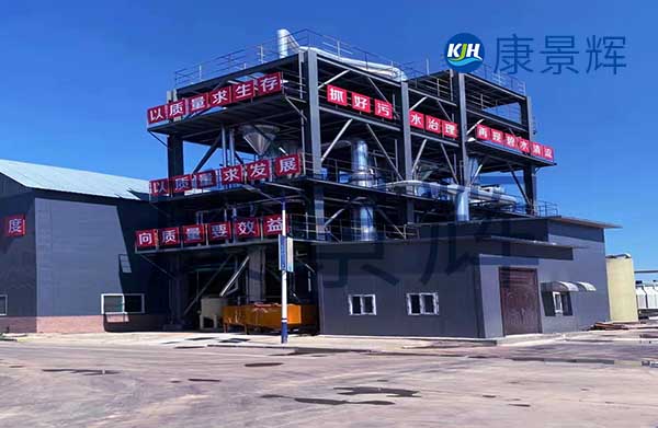 我需要采購(gòu)mvr蒸發(fā)器，能處理硫酸鈉和硫酸銨廢水，一天300噸，有哪些廠家可以推薦給我