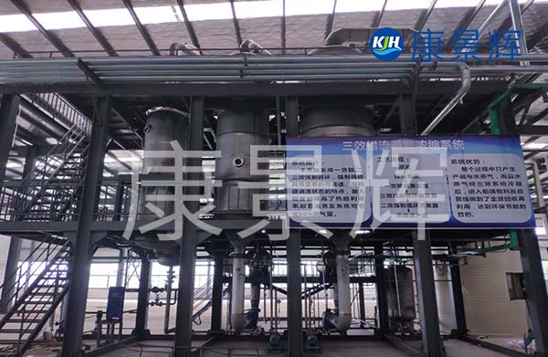 多效降膜蒸發器可以用來濃縮處理廢水，特別適合處理牛奶、淀粉、葡萄糖等食品廠廢水的加工處理中